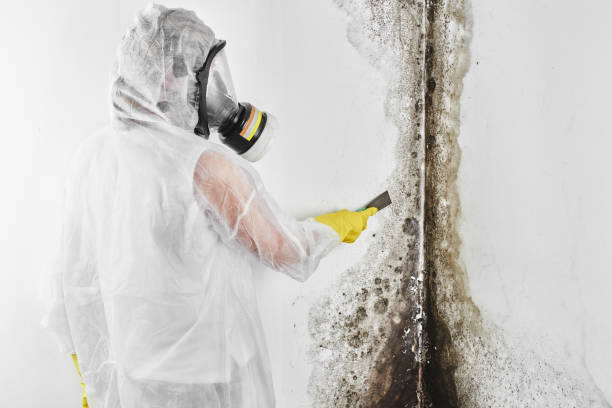 Water Damage Restoration in Somerset, TX
