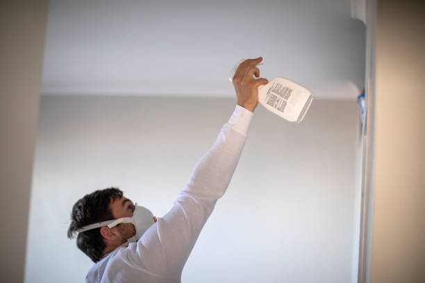 Best Emergency Mold Removal  in Somerset, TX