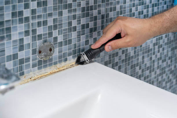 Professional Mold Removal in Somerset, TX
