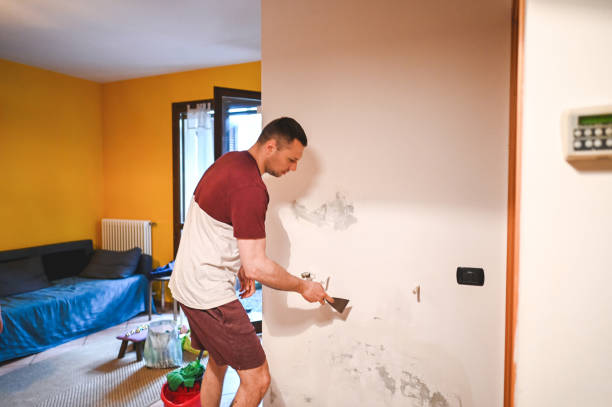 Best Mold Damage Repair  in Somerset, TX